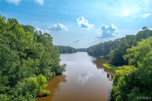 3412 Lake Randolph Ct, Powhatan, VA 23139 - photo 47