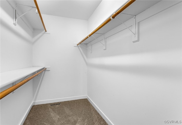4600 Hill Spring Ter, Chesterfield, VA 23831 - photo 27