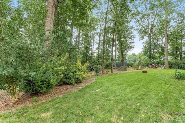 4600 Hill Spring Ter, Chesterfield, VA 23831 - photo 36