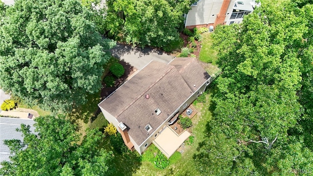 4600 Hill Spring Ter, Chesterfield, VA 23831 - photo 47