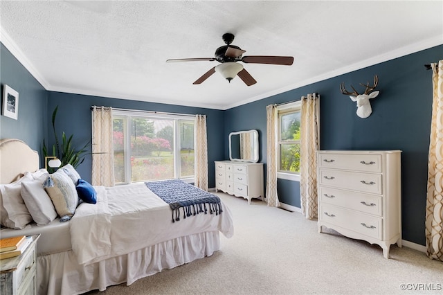 587 Nelwood Pl, Manakin Sabot, VA 23103 - photo 8