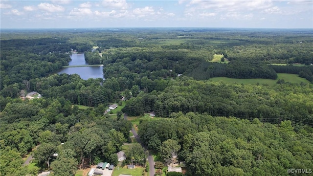 2409 Ocala Dr, Powhatan, VA 23139 - photo 13