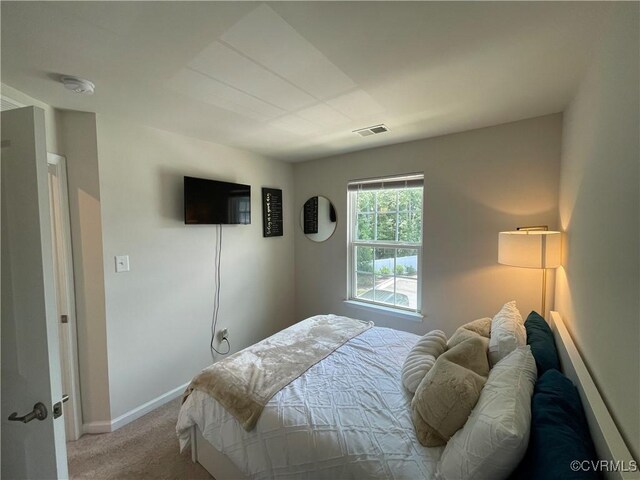 260 Sag Harbor Ct, Henrico, VA 23075 - photo 28