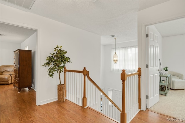 5824 Ironhorse Rd, North Chesterfield, VA 23234 - photo 21