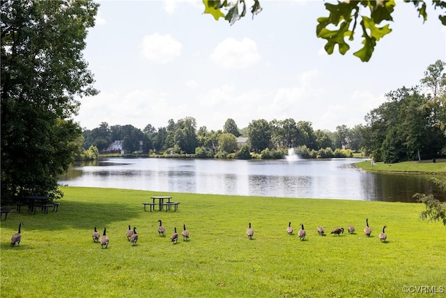 11608 Hickory Landing Pl, Chester, VA 23831 - photo 42