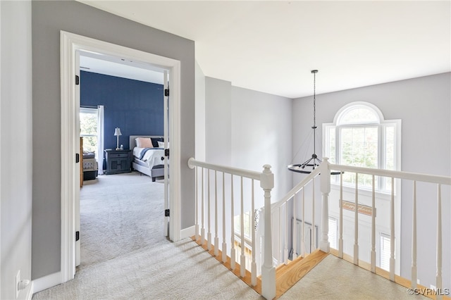 11608 Hickory Landing Pl, Chester, VA 23831 - photo 19