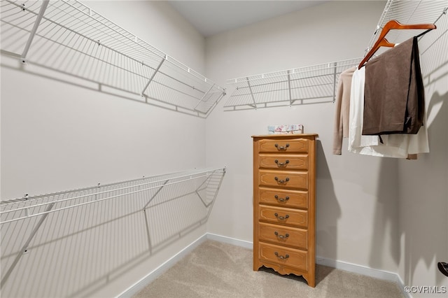 6703 Liege Hl, Moseley, VA 23120 - photo 27