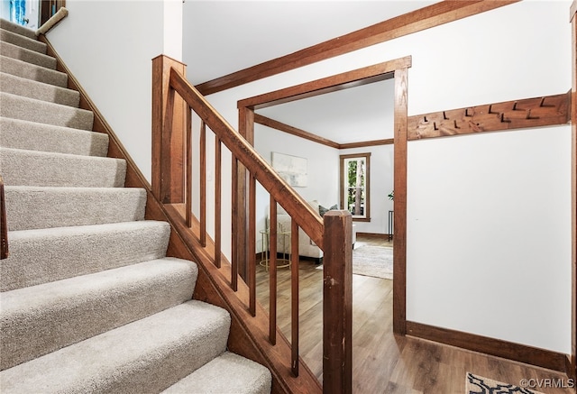 3121 Quail Hill Dr, Midlothian, VA 23112 - photo 18