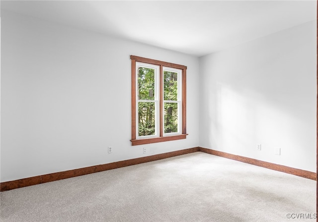 3121 Quail Hill Dr, Midlothian, VA 23112 - photo 26