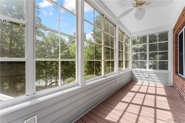 12102 Colemans Lake Rd, Dinwiddie, VA 23850 - photo 19
