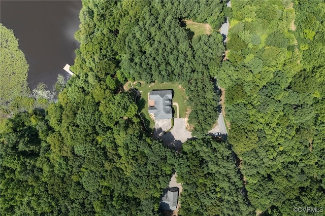 12102 Colemans Lake Rd, Dinwiddie, VA 23850 - photo 1
