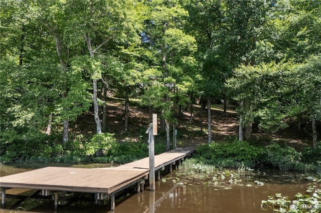 12102 Colemans Lake Rd, Dinwiddie, VA 23850 - photo 4