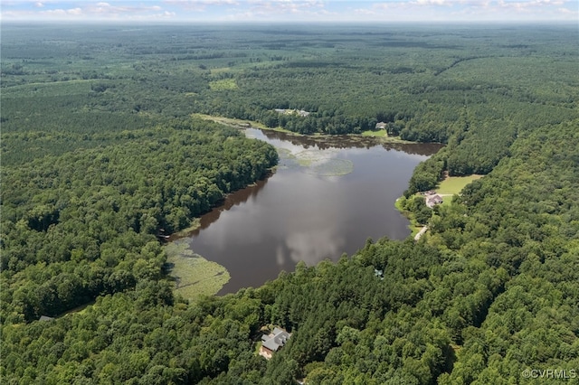 12102 Colemans Lake Rd, Dinwiddie, VA 23850 - photo 3