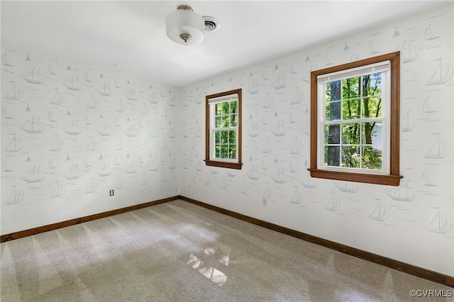 13931 Sagegrove Cir, Midlothian, VA 22312 - photo 19