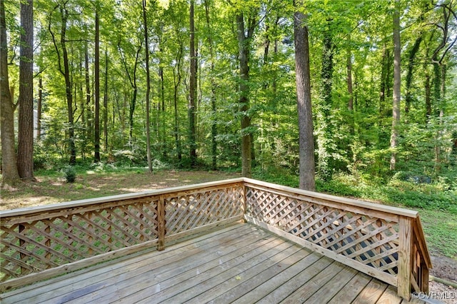 13931 Sagegrove Cir, Midlothian, VA 22312 - photo 20