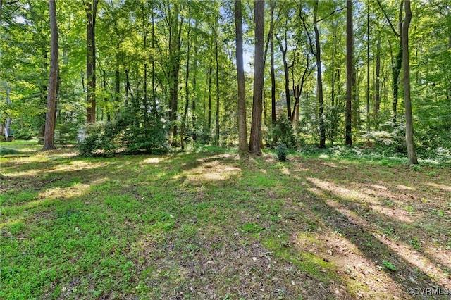 13931 Sagegrove Cir, Midlothian, VA 22312 - photo 22