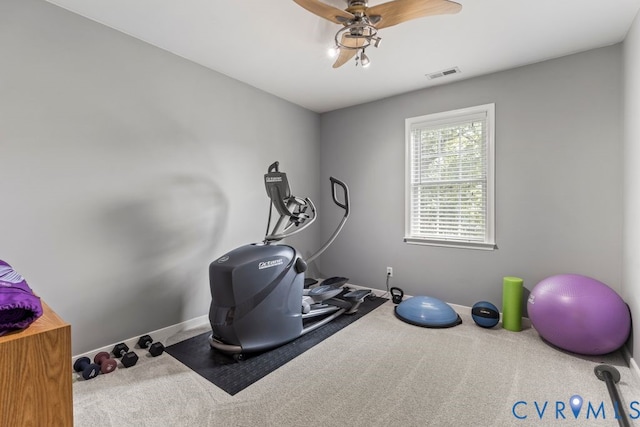 11718 Duxbury Ct, Midlothian, VA 23114 - photo 35