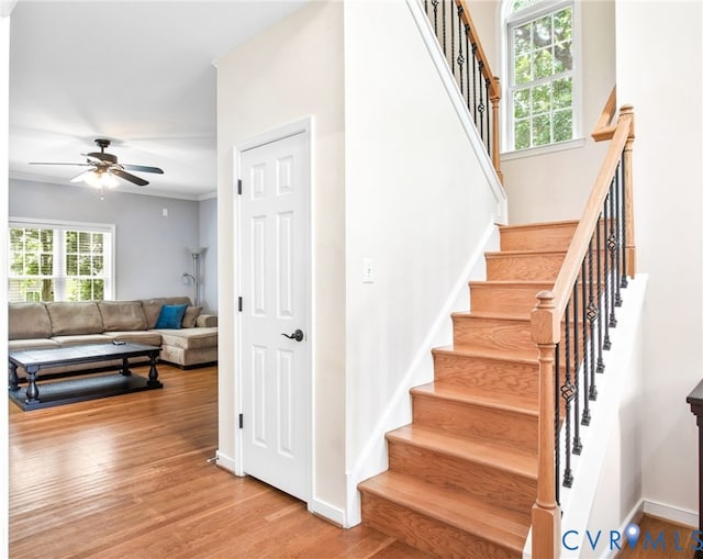11837 Longfellow Dr, Midlothian, VA 23112 - photo 8