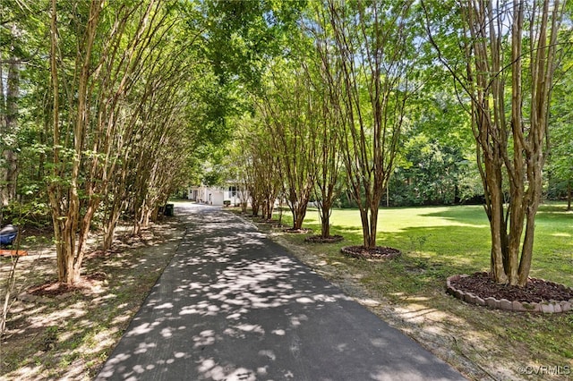 9137 Olde Hartley Dr, Glen Allen, VA 23060 - photo 5