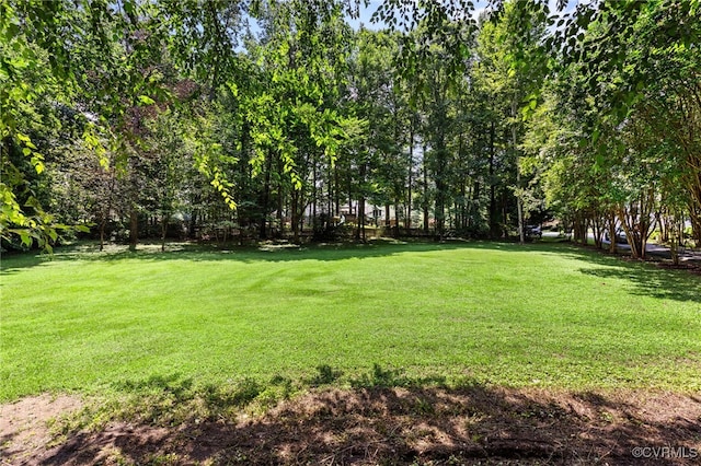 9137 Olde Hartley Dr, Glen Allen, VA 23060 - photo 40
