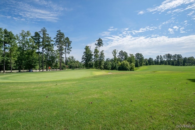 17616 Wynstone Park Ln, Moseley, VA 23120 - photo 22