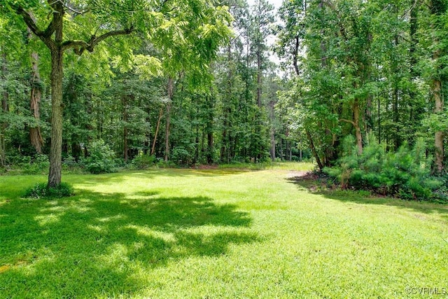 6111 Newbys Bridge Rd, Chesterfield, VA 23832 - photo 24