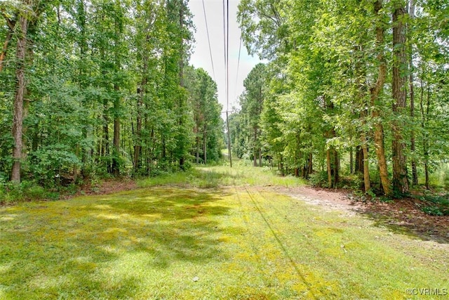 6111 Newbys Bridge Rd, Chesterfield, VA 23832 - photo 25