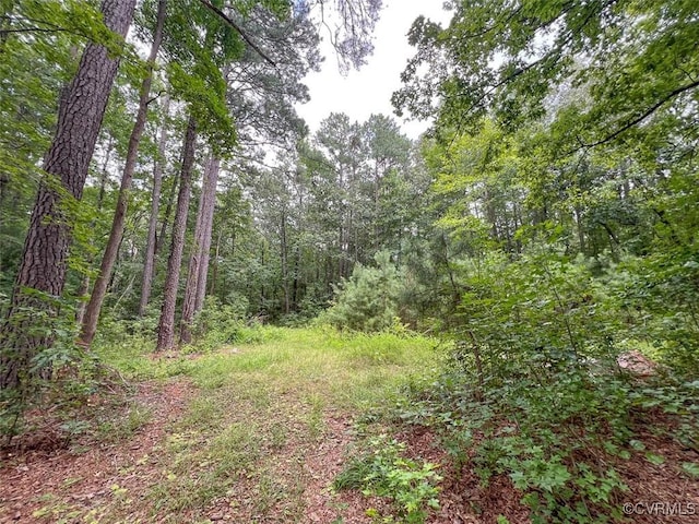 6111 Newbys Bridge Rd, Chesterfield, VA 23832 - photo 26