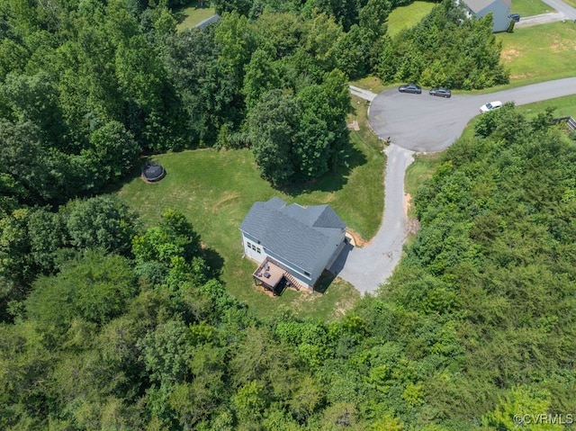 2510 Langdale Ter, Maidens, VA 23102 - photo 33