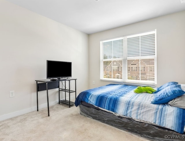 6708 Edith Oaks Way Unit 15C, North Chesterfield, VA 23234 - photo 19