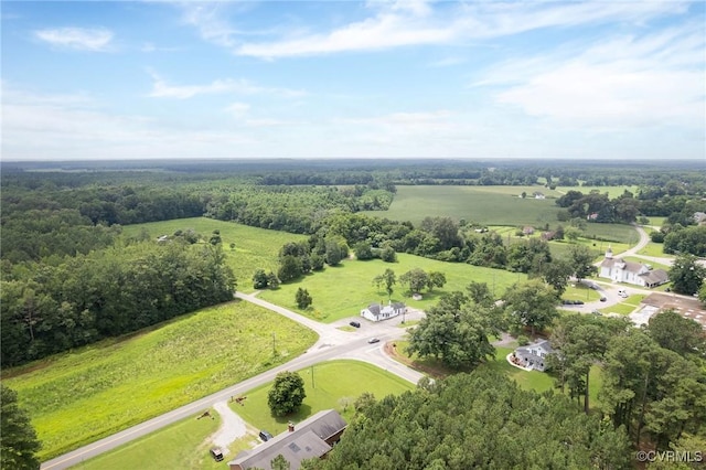 13130 The Glebe Ln, Ruthville, VA 23030 - photo 3