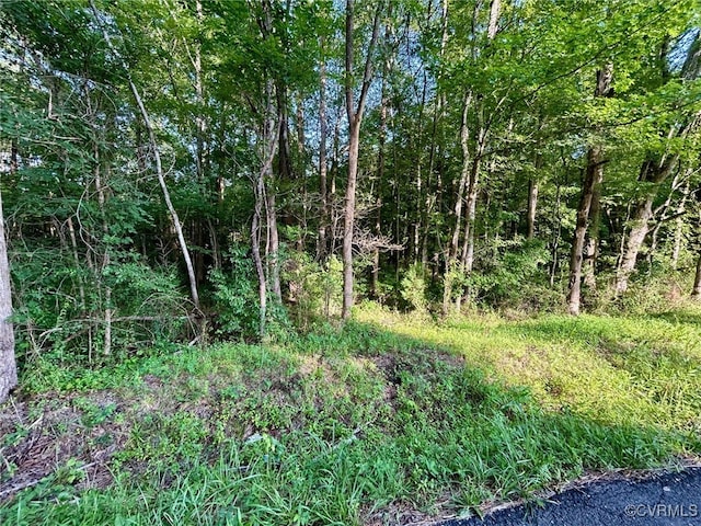 11121 Coalboro Rd, Chesterfield, VA 23838 - photo 1