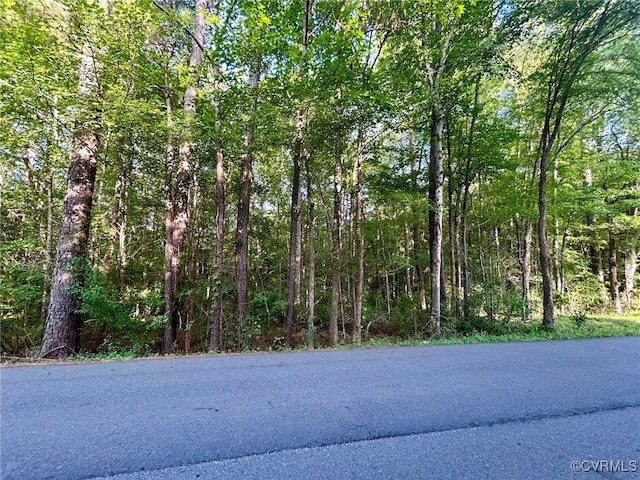 11121 Coalboro Rd, Chesterfield, VA 23838 - photo 5
