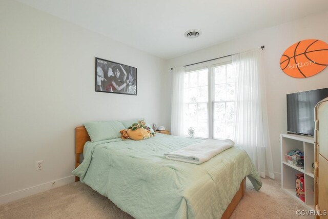 9204 Burkes Garden Pl, Mechanicsville, VA 23116 - photo 34