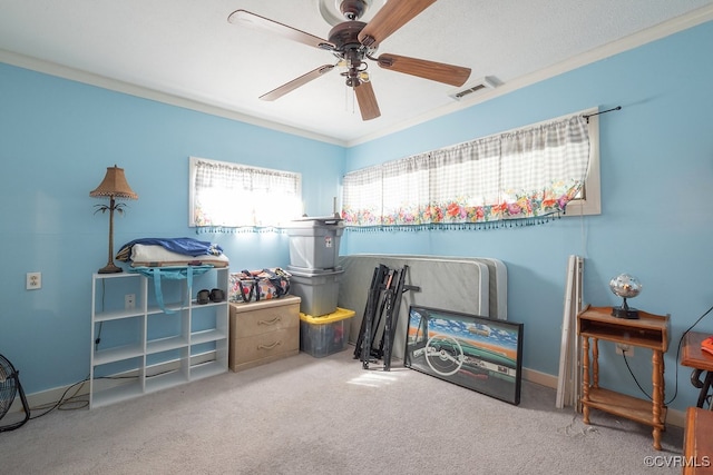 6006 Indigo Rd, Richmond, VA 23230 - photo 13