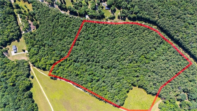 20118 River Rd, Chesterfield, VA 23838 - photo 3