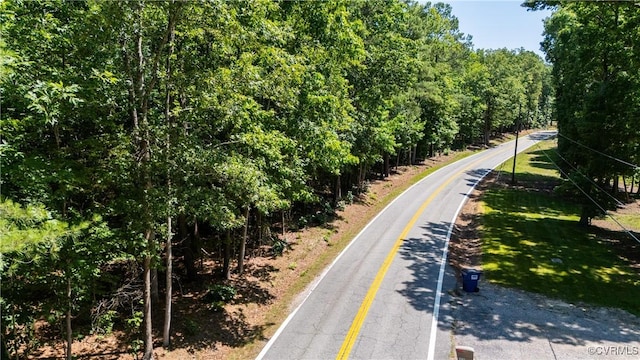 20118 River Rd, Chesterfield, VA 23838 - photo 9