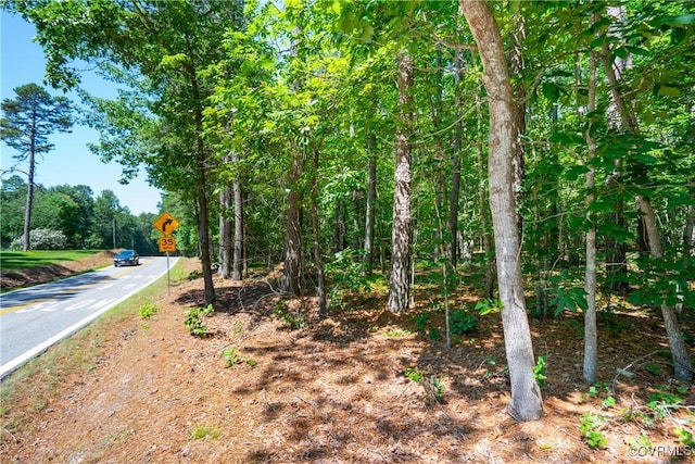 20118 River Rd, Chesterfield, VA 23838 - photo 10