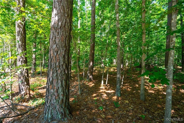 20118 River Rd, Chesterfield, VA 23838 - photo 11