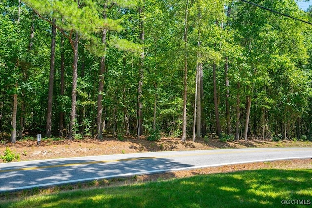 20118 River Rd, Chesterfield, VA 23838 - photo 13