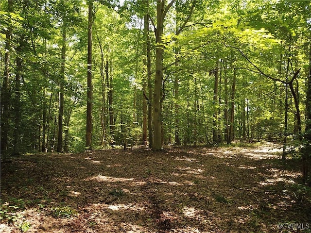 23390 Mt Cloud Rd, Bowling Green, VA 22427 - photo 41