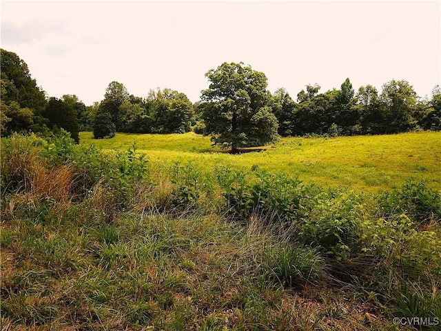 23390 Mt Cloud Rd, Bowling Green, VA 22427 - photo 40