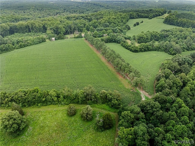 23390 Mt Cloud Rd, Bowling Green, VA 22427 - photo 39