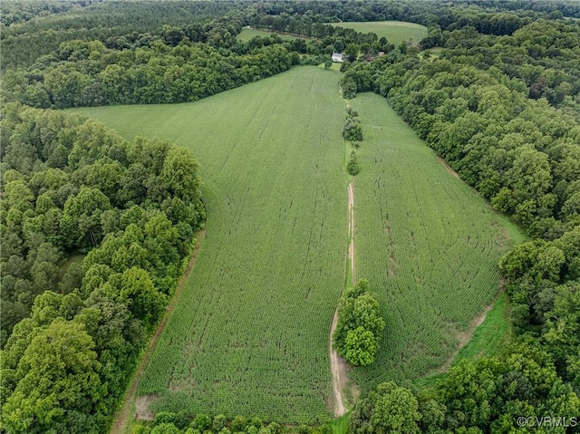 23390 Mt Cloud Rd, Bowling Green, VA 22427 - photo 42