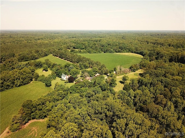23390 Mt Cloud Rd, Bowling Green, VA 22427 - photo 38