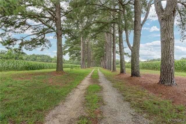23390 Mt Cloud Rd, Bowling Green, VA 22427 - photo 3