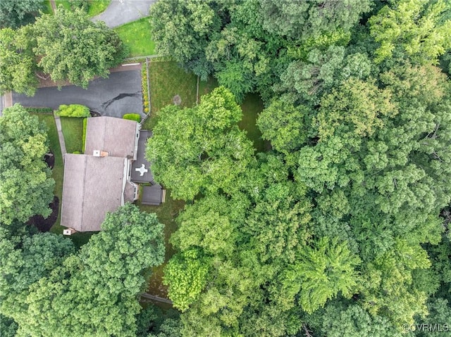 1508 Hearthglow Ln, Henrico, VA 23238 - photo 46