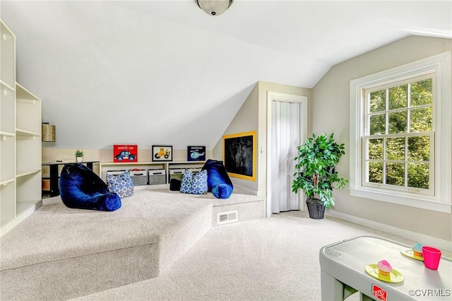 12710 Mill Lock Ter, Midlothian, VA 23113 - photo 27