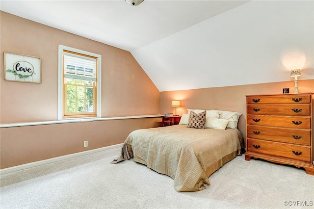 12710 Mill Lock Ter, Midlothian, VA 23113 - photo 33