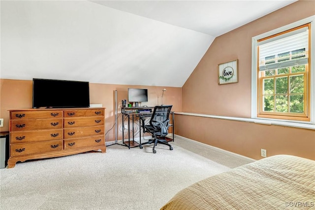 12710 Mill Lock Ter, Midlothian, VA 23113 - photo 34